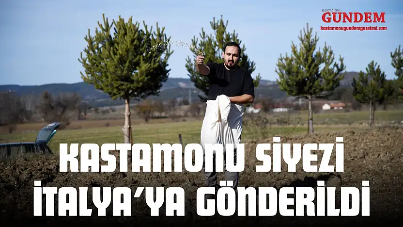 Midesinde Siyez Çıkan Mumya Sonrası Kastamonu Siyezi İtalya'ya Gönderildi