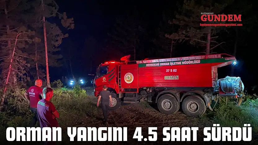 Orman Yangını 4.5 Saat Sürdü