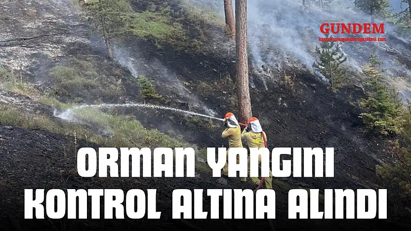 Orman Yangını Kontrol Altına Alındı
