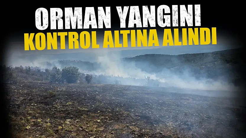Orman Yangını Kontrol Altına Alındı