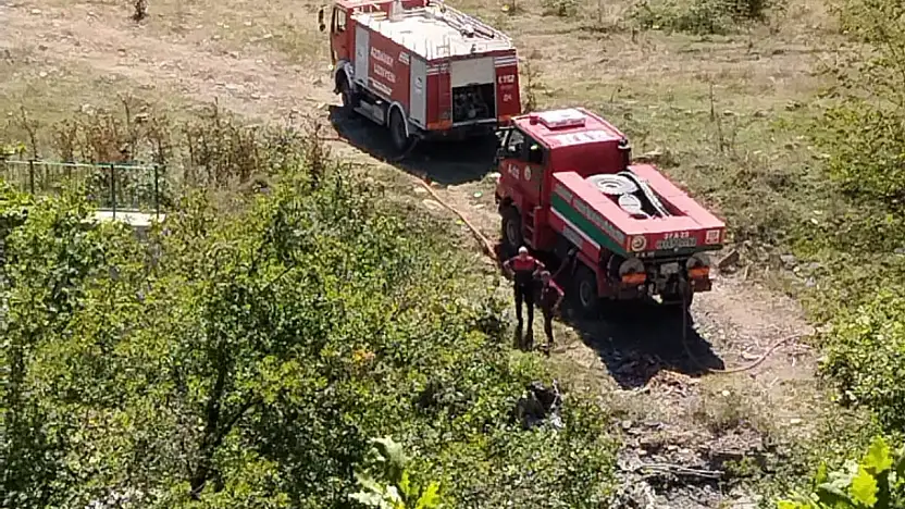 Orman Yangını Korkuttu!