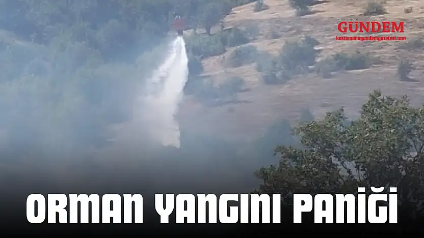 Orman Yangını Paniği