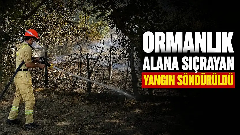 Ormanlık Alana Sıçrayan Yangın Söndürüldü