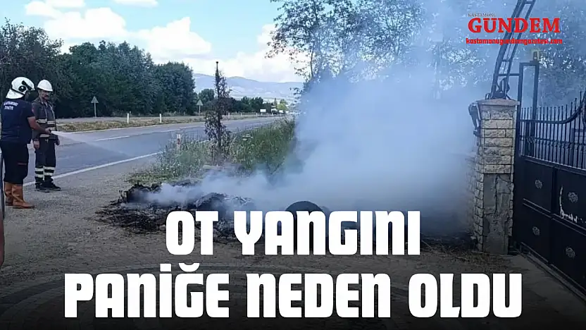 Ot Yangını Paniğe Neden Oldu