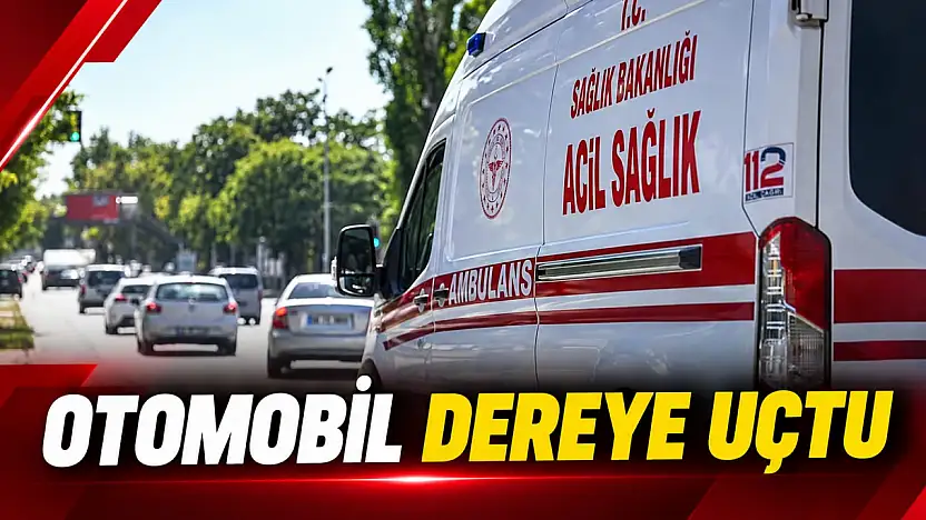 Otomobil Dereye Uçtu