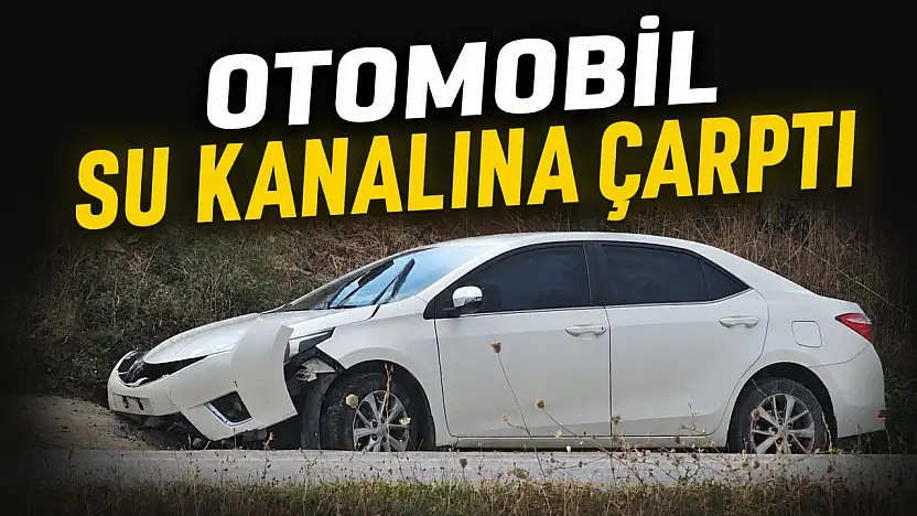 Otomobil Su Kanalına Çarptı