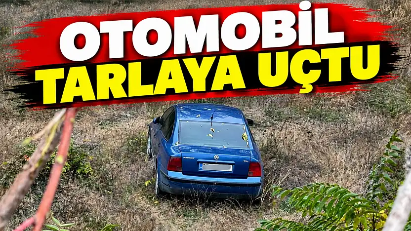 Otomobil Tarlaya Uçtu