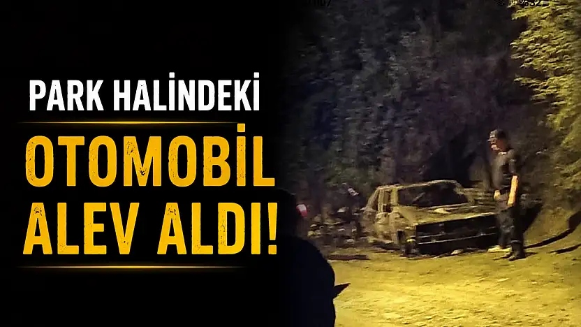 Park Halindeki Otomobil Alev Aldı