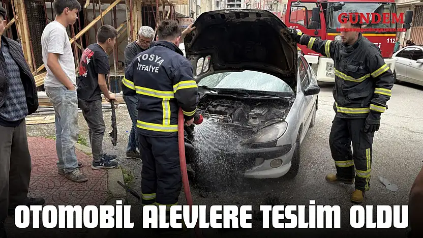 Seyir Halindeki Otomobil Alevlere Teslim Oldu