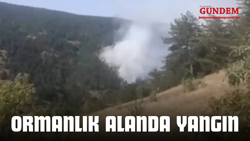 Taşköprü'de Orman Yangını