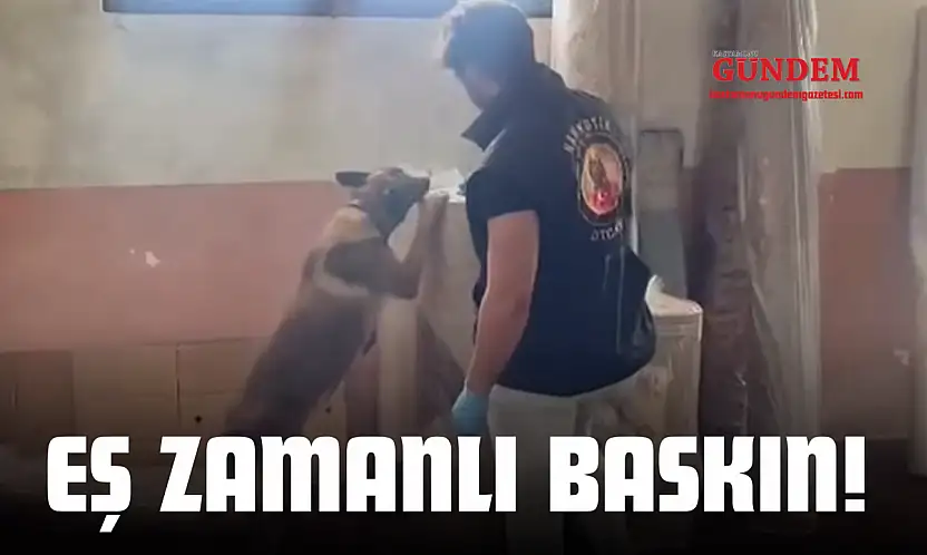 19 Adrese Eş Zamanlı Baskın!