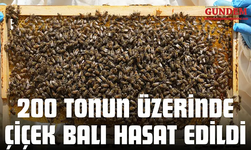 200 Tonun Üzerinde Çiçek Balı Hasat Edildi