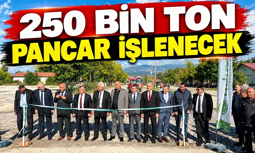 250 Bin Ton Pancar İşlenecek