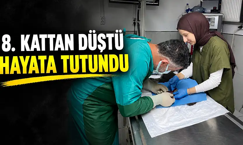 8. Kattan Düştü, Hayata Tutundu
