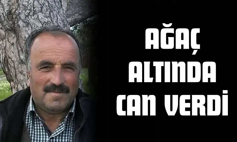Ağaç Altında Can Verdi