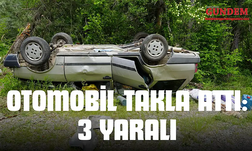 Ağaca Çarpan Otomobil Takla Attı: 3 Yaralı