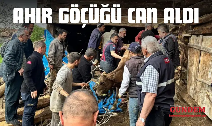 Ahır Göçüğü Can Aldı