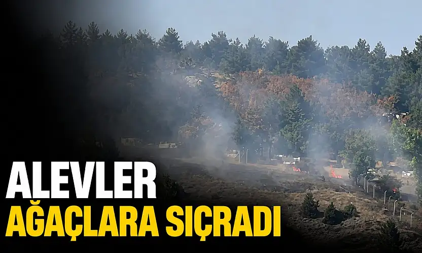 Alevler Ağaçlara Sıçradı