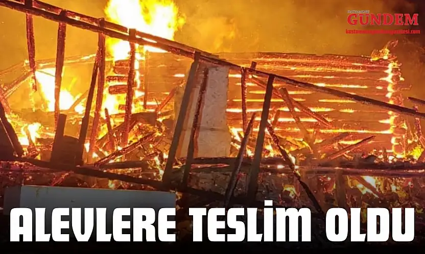 Alevlere Teslim Oldu