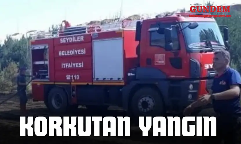 Korkutan Yangın!