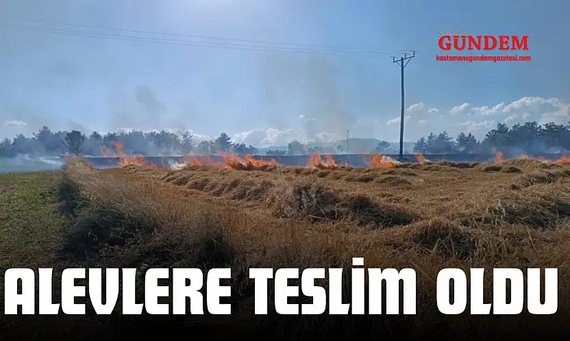 Alevlere Teslim Oldu