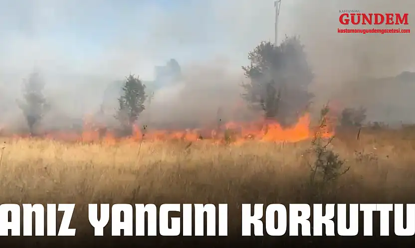 Anız Yangını Korkuttu