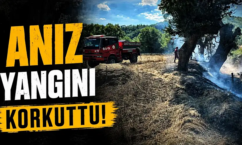 Anız Yangını Korkuttu!