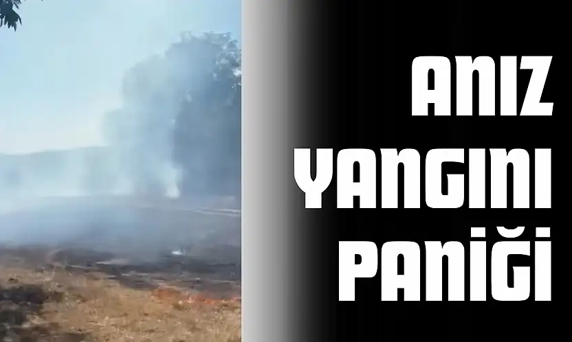 Anız Yangını Paniğe Neden Oldu