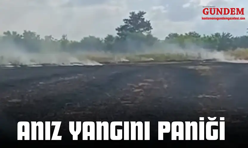 Anız Yangını Paniği
