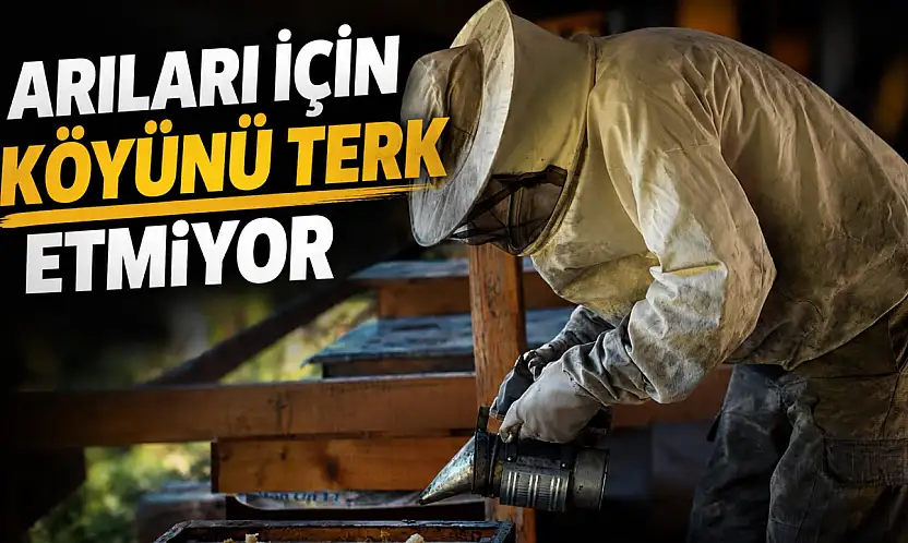 Arıları İçin Köyünü Terk Etmiyor