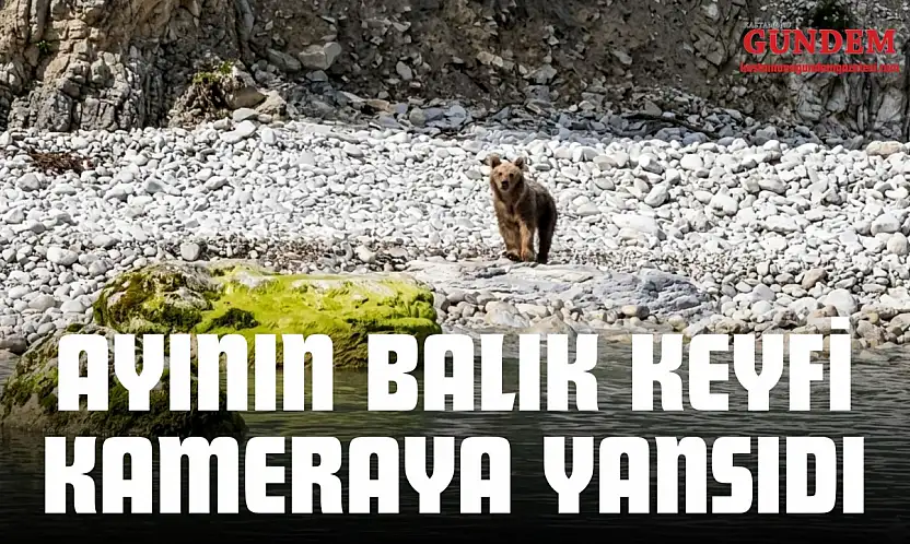 Ayının Balık Keyfi Kameraya Yansıdı