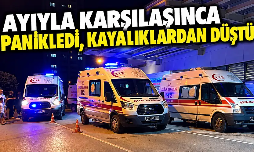Ayıyla Karşılaşınca Panikledi, Kayalıklardan Düştü