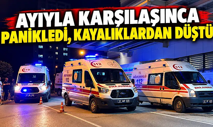 Ayıyla Karşılaşınca Panikledi, Kayalıklardan Düştü