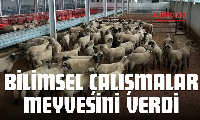 Bilimsel Çalışmalar Meyvesini Verdi