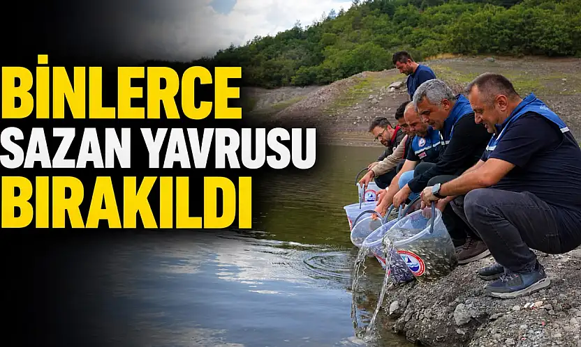 Binlerce Sazan Yavrusu Bırakıldı