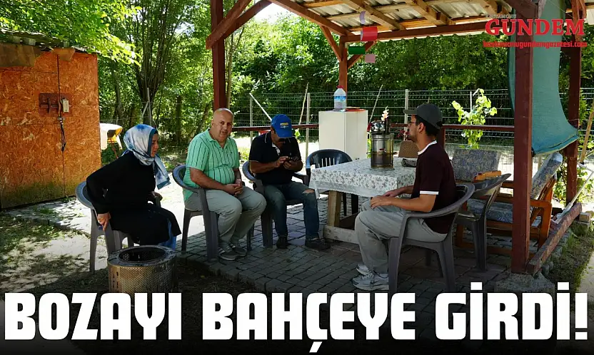 Bozayı Bahçeye Girdi! Vatandaşlar Konteynere Kaçtı