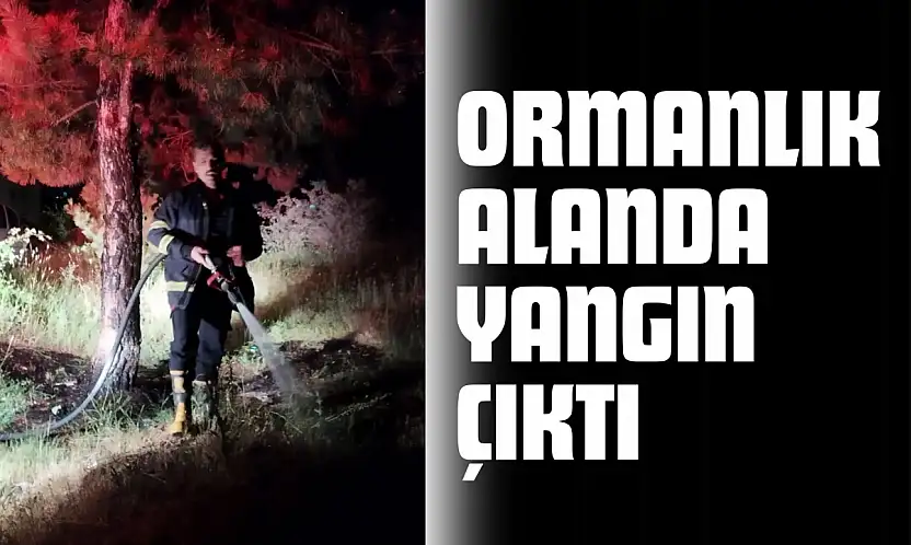 Candaroğulları Mahallesi'ndeki Ormanlık Alanda Yangın Çıktı