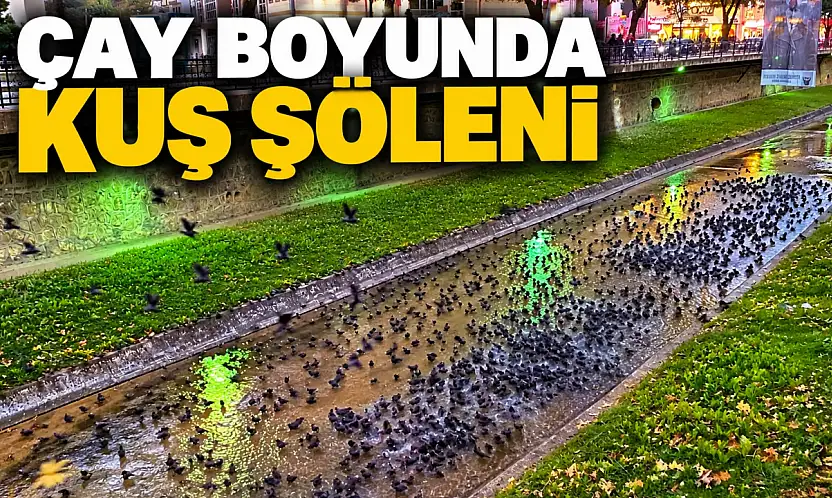 Çay Boyunda Kuş Şöleni