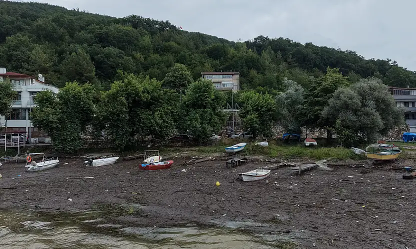 Liman Balçık Ve Odunlarla Kaplandı