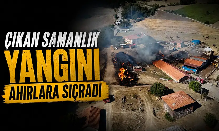 Çıkan Samanlık Yangını Ahırlara Sıçradı
