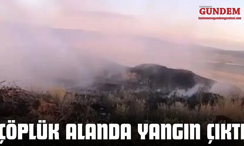 Çöplük Alanda Yangın Çıktı