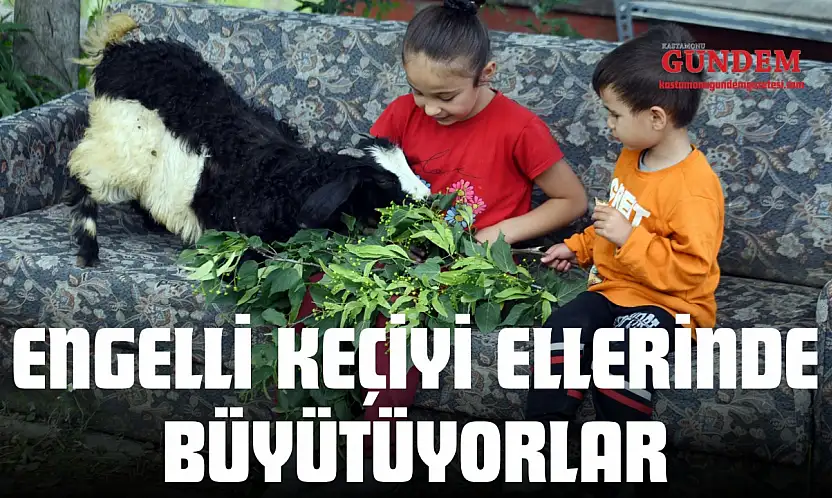 Engelli Keçiyi Ellerinde Büyütüyorlar