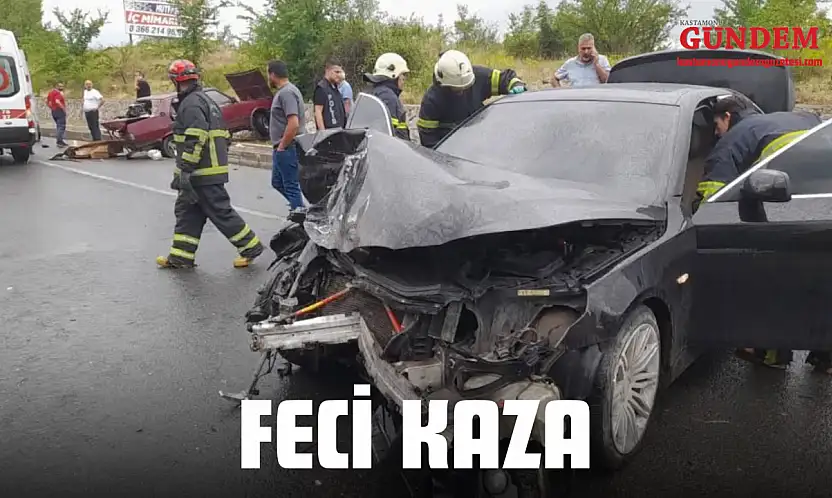 Feci Kaza
