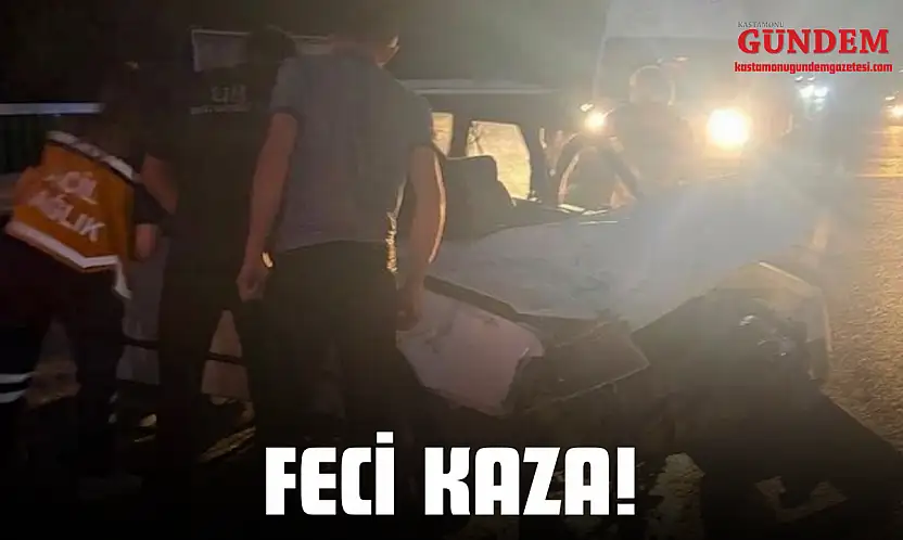 Feci Kaza!