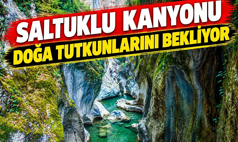 Güzelliğiyle Mest Ediyor