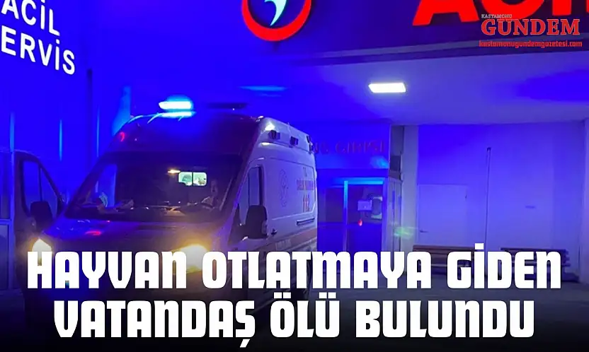 Hayvan Otlatmaya Giden Vatandaş Ölü Bulundu