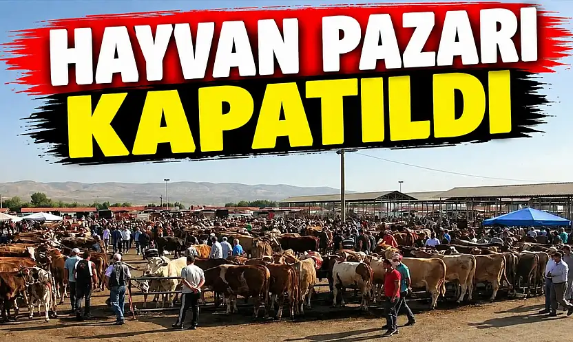 Hayvan Pazarı Kapatıldı