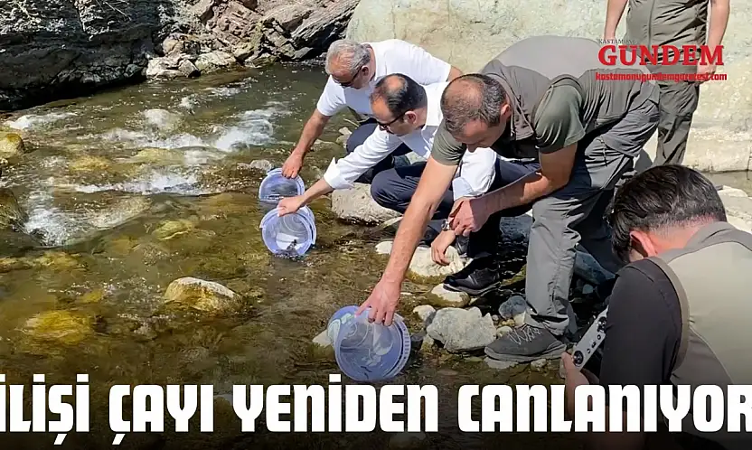 İlişi Çayı Yeniden Canlanıyor