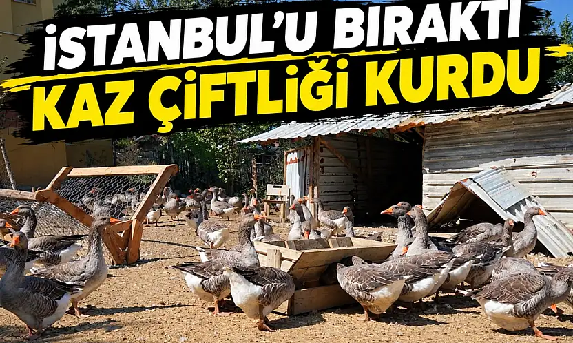 İstanbul'u Bıraktı, Kaz Çiftliği Kurdu!