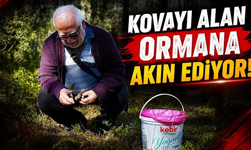 Kastamonu'da Kovayı Alan Ormana Akın Ediyor!